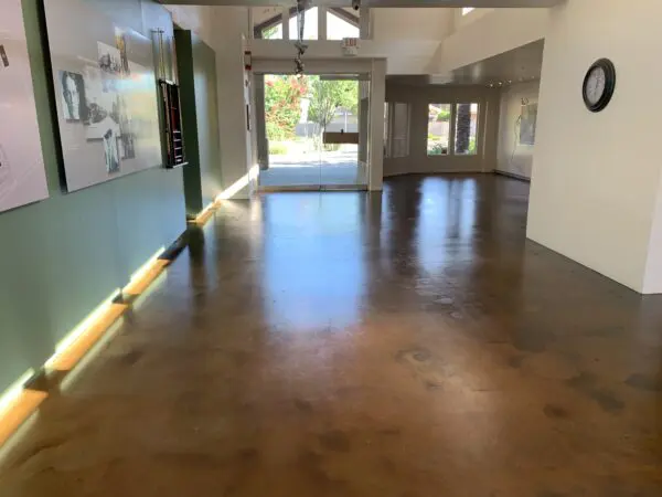 An empty, sunlit gallery with polished concrete floors, green and white walls, large windows, and wall-mounted displays.