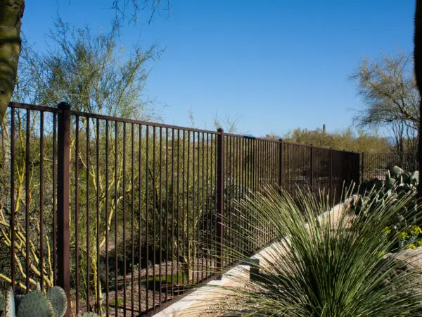 A black metal fence runs along a desert landscape with cacti and shrubs under a clear blue sky.